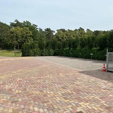 Wiedemann Heiko Mellenthin