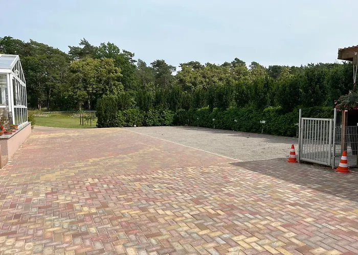 Wiedemann Heiko 梅伦新